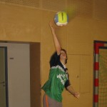 Volleyball Turnier